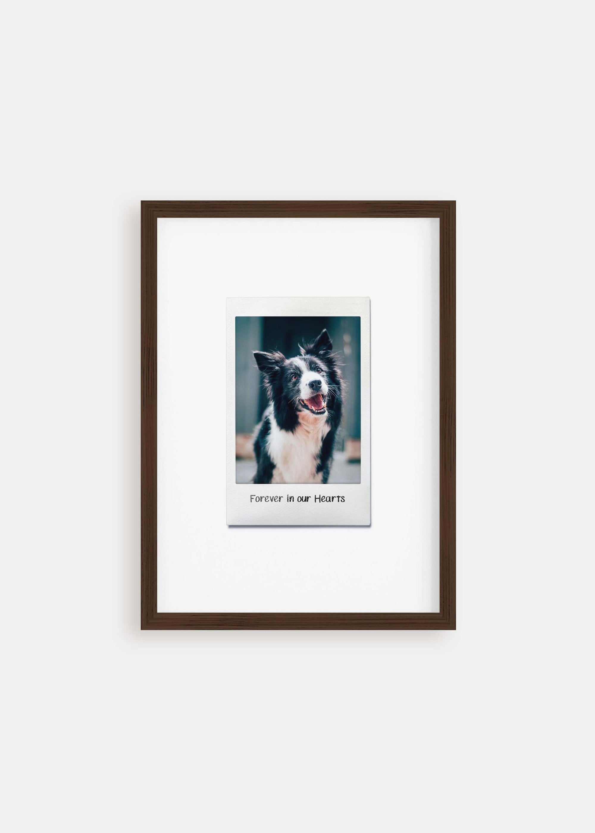 Dog memorial instant film pet art in walnut frame.