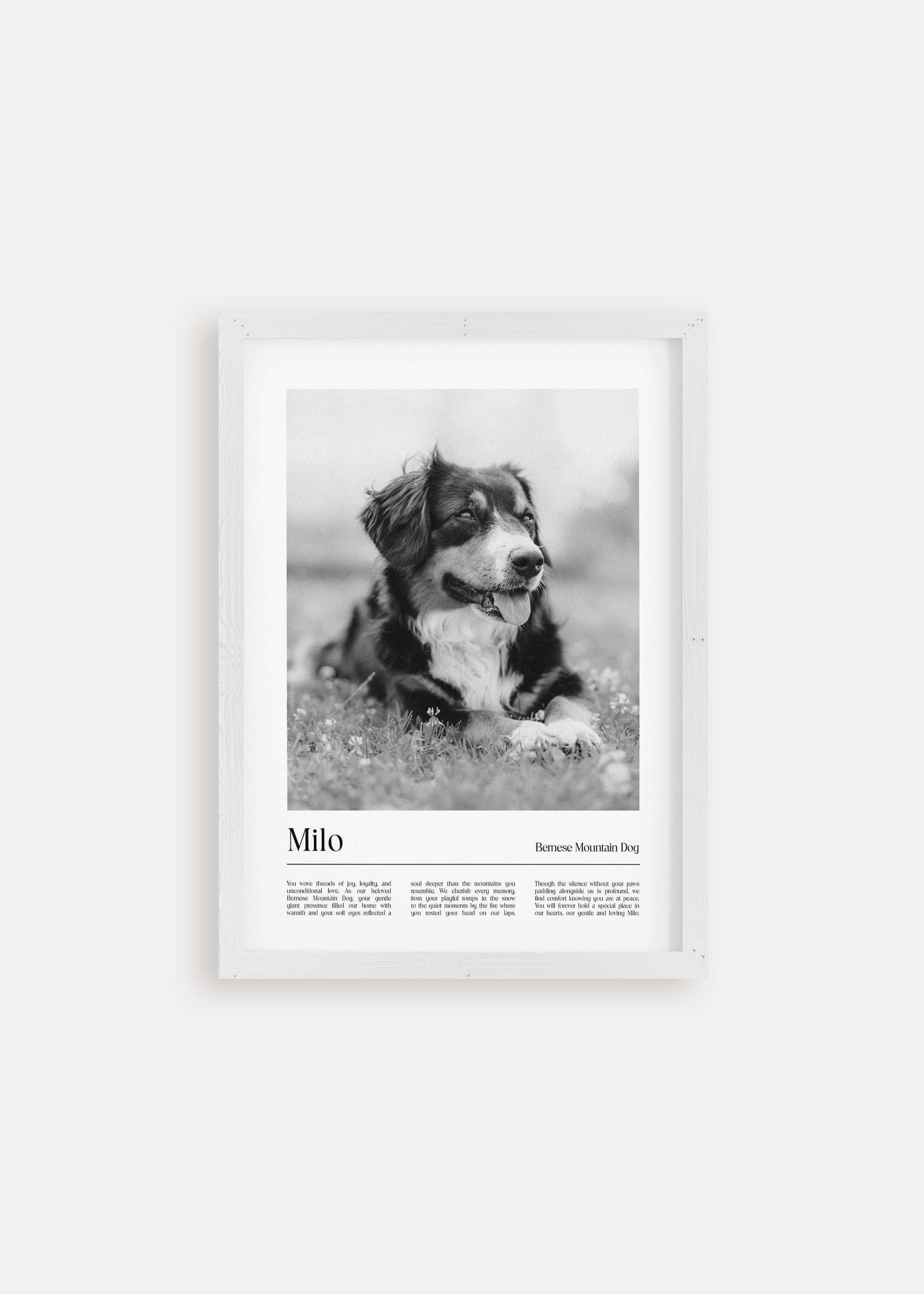 dog memorial black and white pet art photo in white frame.