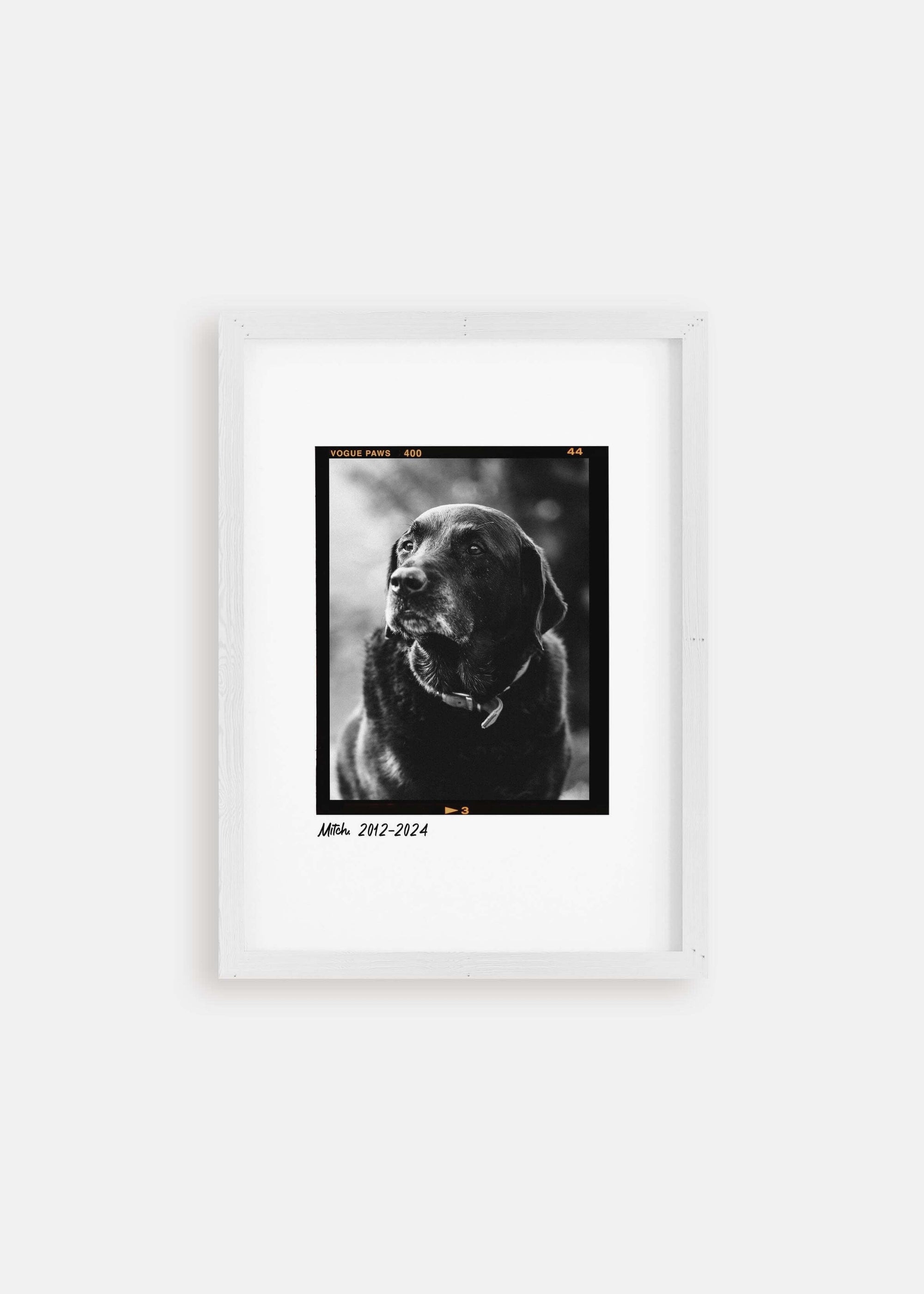 dog memorial pet art, black and white photo in white frame.