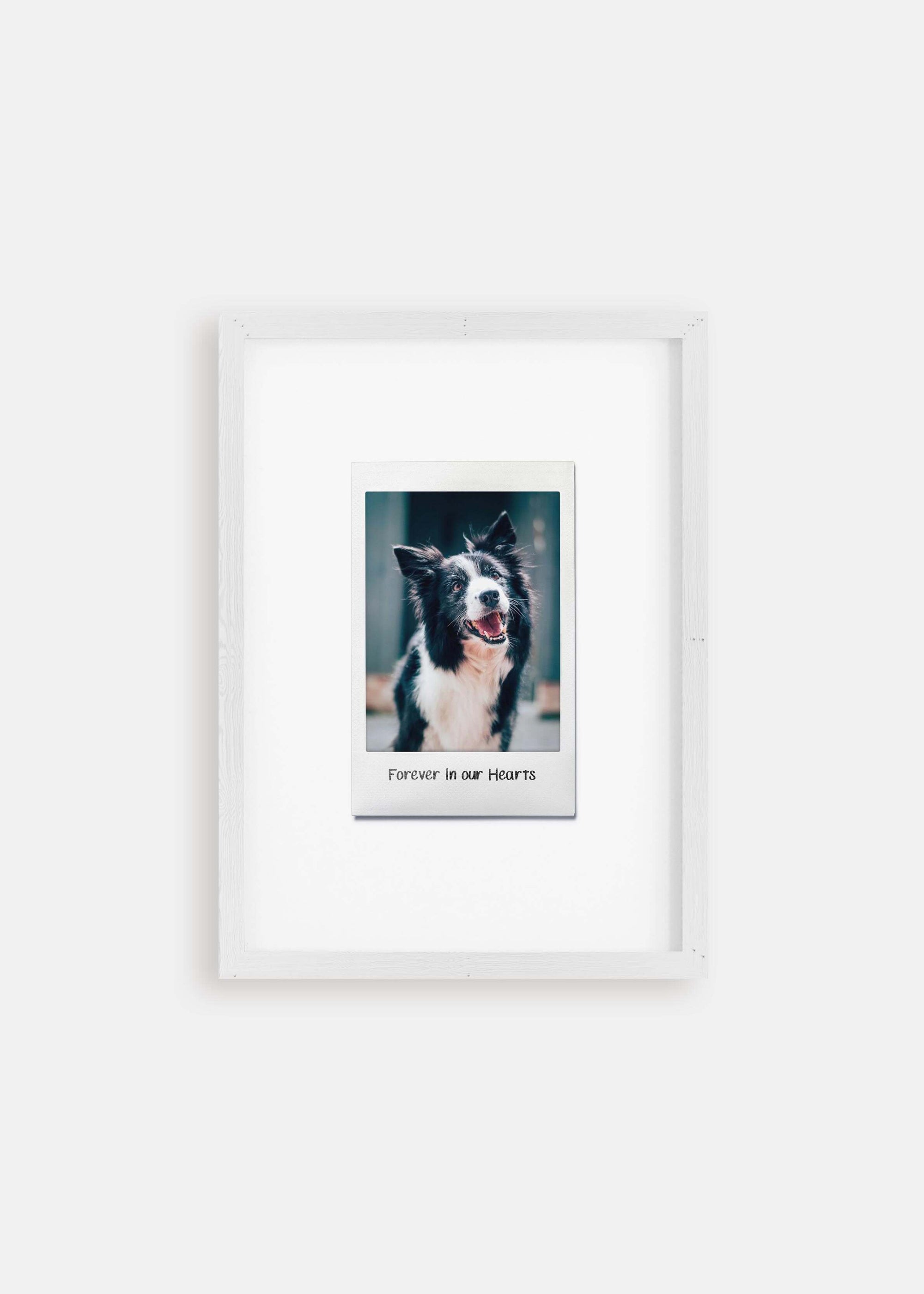 Dog memorial instant film pet art in white frame.