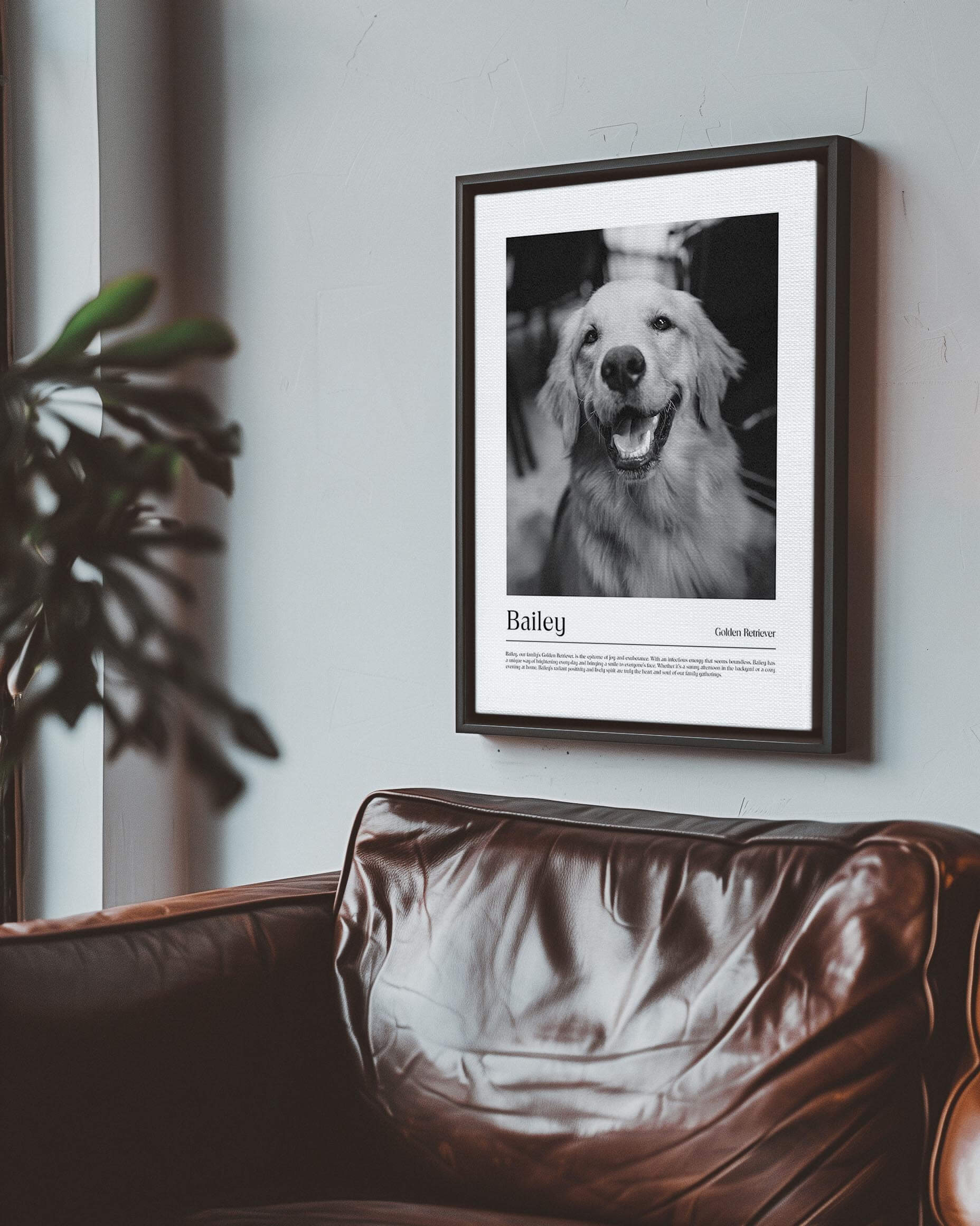 Golden retriever dog photo printed as black and white art and custom framed and personalized in modern home decor setting making a unique custom gift for dog mom and dog dad pet parents created by vogue paws personalized pet portraits