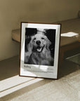 dog photo printed as black and white art and custom framed and personalized in modern home decor setting making a unique custom gift for dog mom and dog dad pet parents created by vogue paws personalized pet portraits