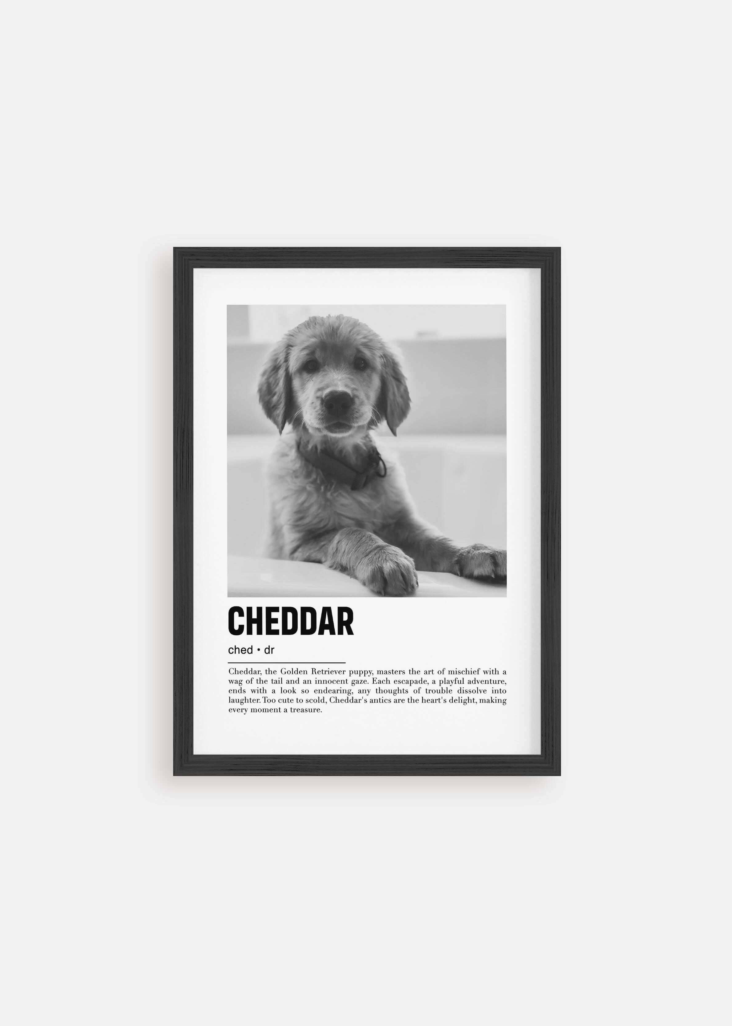 Custom Pet Gifts: Best Personalized Pet Products (Free Shipping) | Chewy