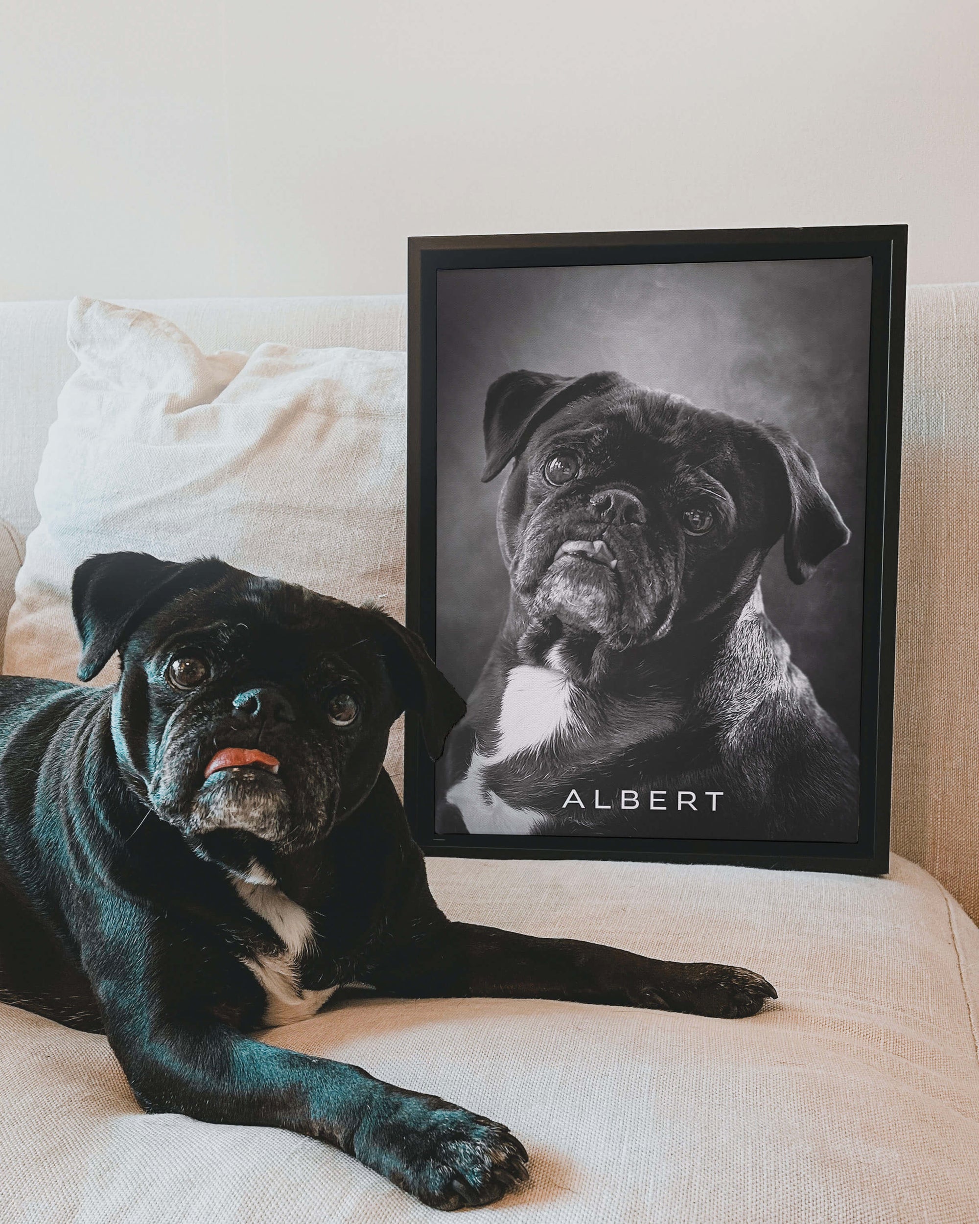 black and white art photo of pug dog printed on canvas leaning against sofa for interior design home decor inspiration made by vogue paws personalized pet portraits made for gifts for dog mom and dog dad pet parents