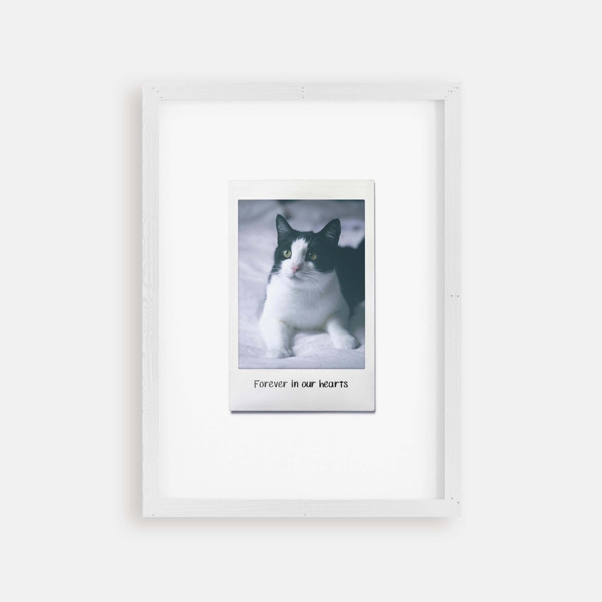 Personalized cat portrait in a picture frame with custom details, featuring a custom photo of a beloved feline. Ideal for custom pet portraits, this artwork serves as a beautiful cat memorial gift or personal pet art for the home. Perfect for custom pet frames, personalized pet portrait art, and custom cat artwork.