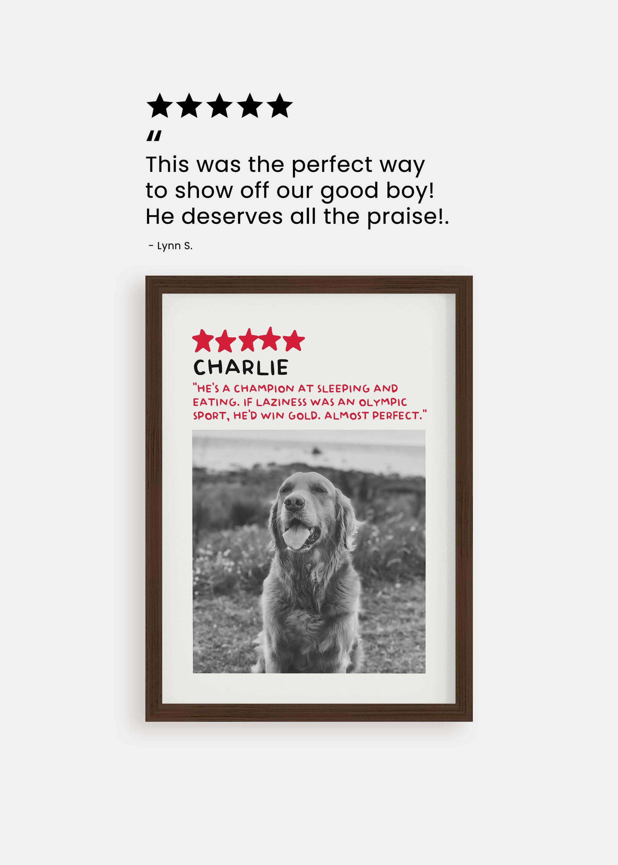 Vogue 5-Star Review - Custom Pet Poster