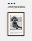 Vogue California - Custom Pet Poster