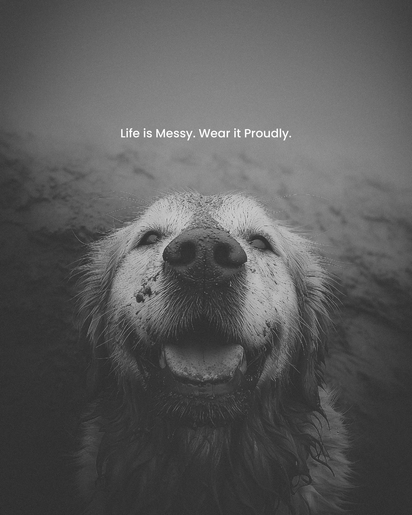 dog, dog art, dog mom, dog dad, gift for dog mom, gift for dog dad, golden retriever, golden retriever art, black and white art, dog wall art, inspirational dog quote, meaningful dog gift, pet lover gift, muddy dog, smiling dog, dog photography print, motivational dog poster, dog decor, dog lover wall art